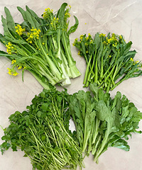 �����⼸�ֲ����ǰ�������