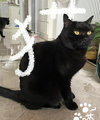 èÿ�γ���޹޾��������