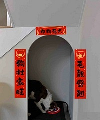 ��¥������ĳɹ������ʹ