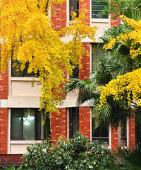 ���ˣ��콭���ǵ��������ˣ����Ӻ���⾳��Ũ