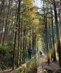 渝北遛娃杉树林吸氧,徒步环线,水库+鸵鸟是惊喜