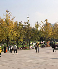 ��ĩ��԰����