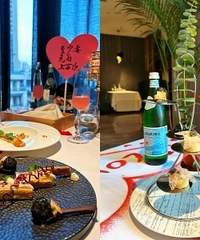 ��������Ƽ����ղ���������û�о��ޣ�ţ�ų���