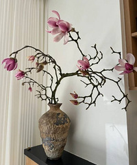 ��֦�����������19һ��������¶ȸߺܿ�Ϳ���