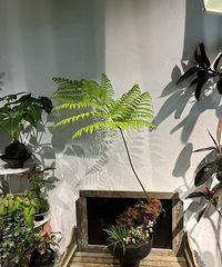 �������ʮ���£��ﺣ��30Ԫ��С����70Ԫ