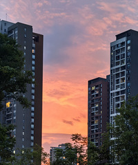 �����칫԰��ҵ����Ѫֱ��