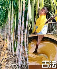 �ҵ���ĩˣ�£�����ȥ������