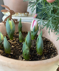 �������ǿ�ʼ������������ʲô������