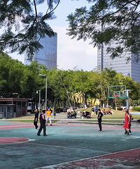 ʵ��һ������ĩ���빫԰�����磬���н����³ǵ䷶