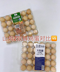 ɽķ�ʼ���VS���뵰����������ƽʱ���Ŀ��һЩ��