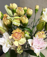 ����ֱ������ʻ����ذ�ٺ���ÿ�