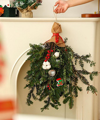 ��ʥ����ר����ŵ���ɻ���29Ԫ��ʥ����59/��