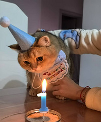 Сèһ�����������Թ޹޹����գ������ƺ��е����