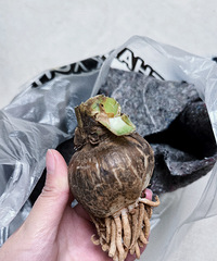 ��������������������춥�컹�ܻ���