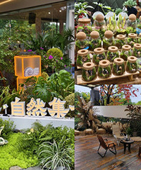 �������ŵ���԰����Ҫ�Ź������ҵ�