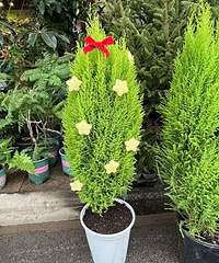 ����70���С���ɣ�����