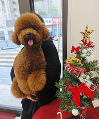 ����ҲҪ��ʥ�����ҿ���û��ʥ��ſ�����ҵĹ�����