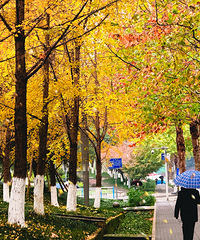 ס���ԱߵĹ�԰