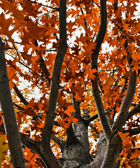 ����˴ɽ�����ճ�¯����㡢���ӣ��ﶬ��Χ������