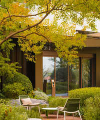 ��¥������С������ɫ̫������