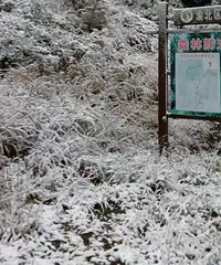 重庆中心城区下雪啦!就在这里