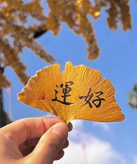 91152CMС飬ϣԷ92~88