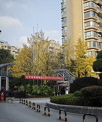 ������ҵҲ�����ˣ�С��ҵί��Ҳ��׼��������ҵ��