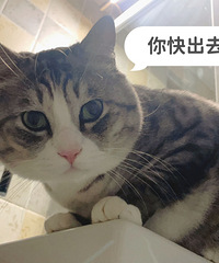 è����6��Ϳ�ʼ���裬���ҳ�ȥ�������ͷ