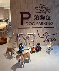 ��ҿ��ȵ���ר�ŵ�ͣ��λ