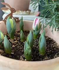 ����������������զ����