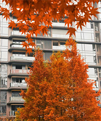 ����˴ɽ�����ճ�¯����㡢���ӣ��ﶬ��Χ������