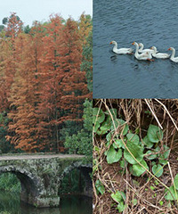 �山����ˮ��תһȦ���ڵ���һ���۶���