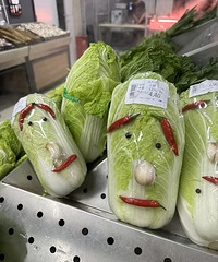 �����߲˺û�����������ײ˴�������4��Ǯһ��