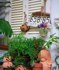 [����]һ����ֲ��һ����װ�Σ�������̨�����ӻ��̻�԰��