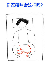 �����ˣ����ǵ�è���������ѣ���������˯��