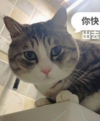 ����6��è�ͳ��������ʳ