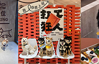 ��ҿ��ȵ�����˼���ɴ�è��ȥ������ר�ŵ�ͣ��λ