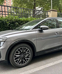 �������˴�Ҷ�������İµϴ���Q5etron