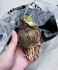 �����������춥�컹�ܻ���