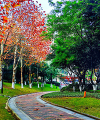 ���ģ�������Ĺ�԰���У������汣�ֵ��൱����