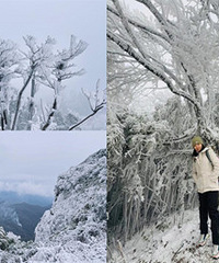 ����ɽͽ��8�����ڡ̫����