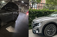 �һ������˴�Ҷ�������İµϴ���Q5-etron