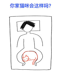 �������ǵ�è�䶼����˯��