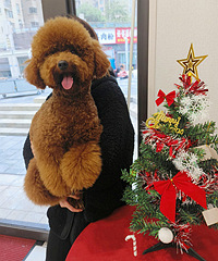 С��ҲҪ�н��յ���ʽ��~