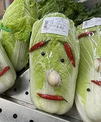 �����߲˺ó�������ţ��