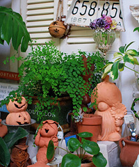 �������ӻ��̻�԰��