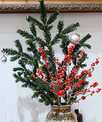 ����+ŵ���ɺ��������Χ