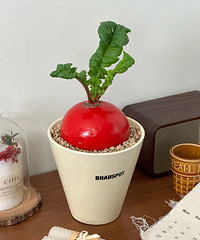 �̼ҷ�����һ�����ܲ�ͷ���������Ȼ����59Ԫ