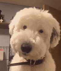 ������ֵ���򡿵�ܽ�ɿ������19.9������̩ϺϺ��6��59