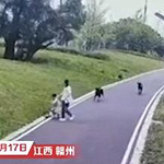 母亲遛娃被三条狗撕咬